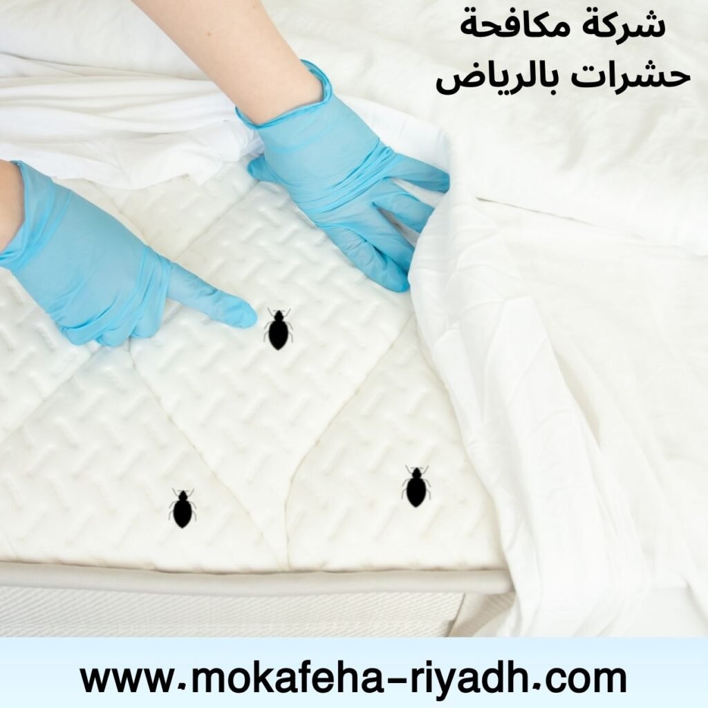 مكافحة بق الفراش بالرياض
