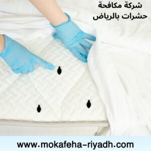 شركة مكافحة النمل الأبيض بالرياض | خصم 30% وضمان 15 عاماً