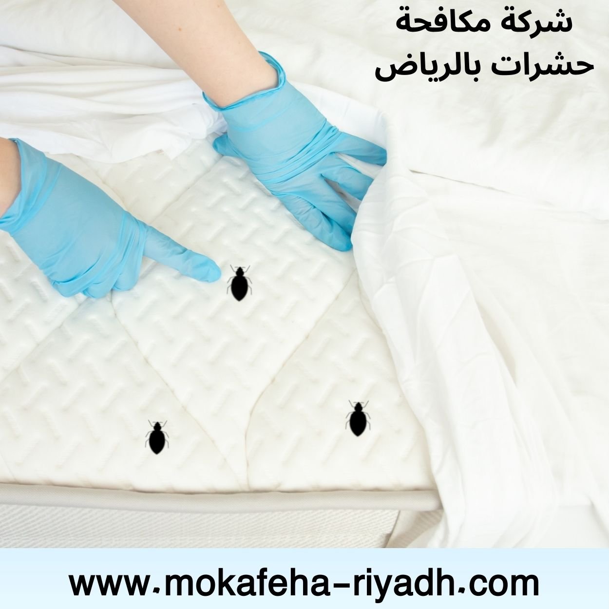 مكافحة بق الفراش بالرياض